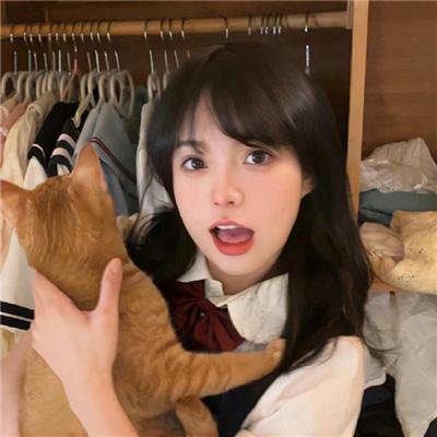 旋转家族